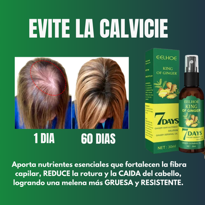 REY DEL JENGIBRE + BEAUTYBOOST 7 DAYS™ PREPARATE PARA VER TU CRECER TUS UÑAS Y CABELLO SIN PARAR